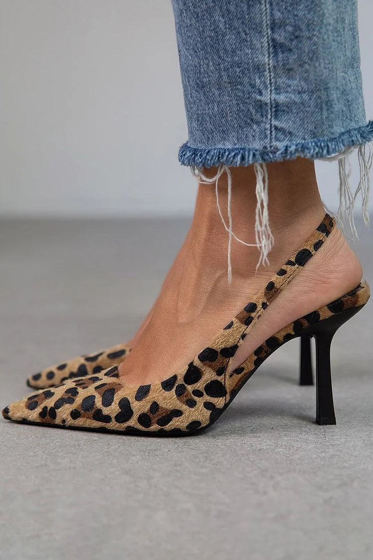 Leopardo / 42